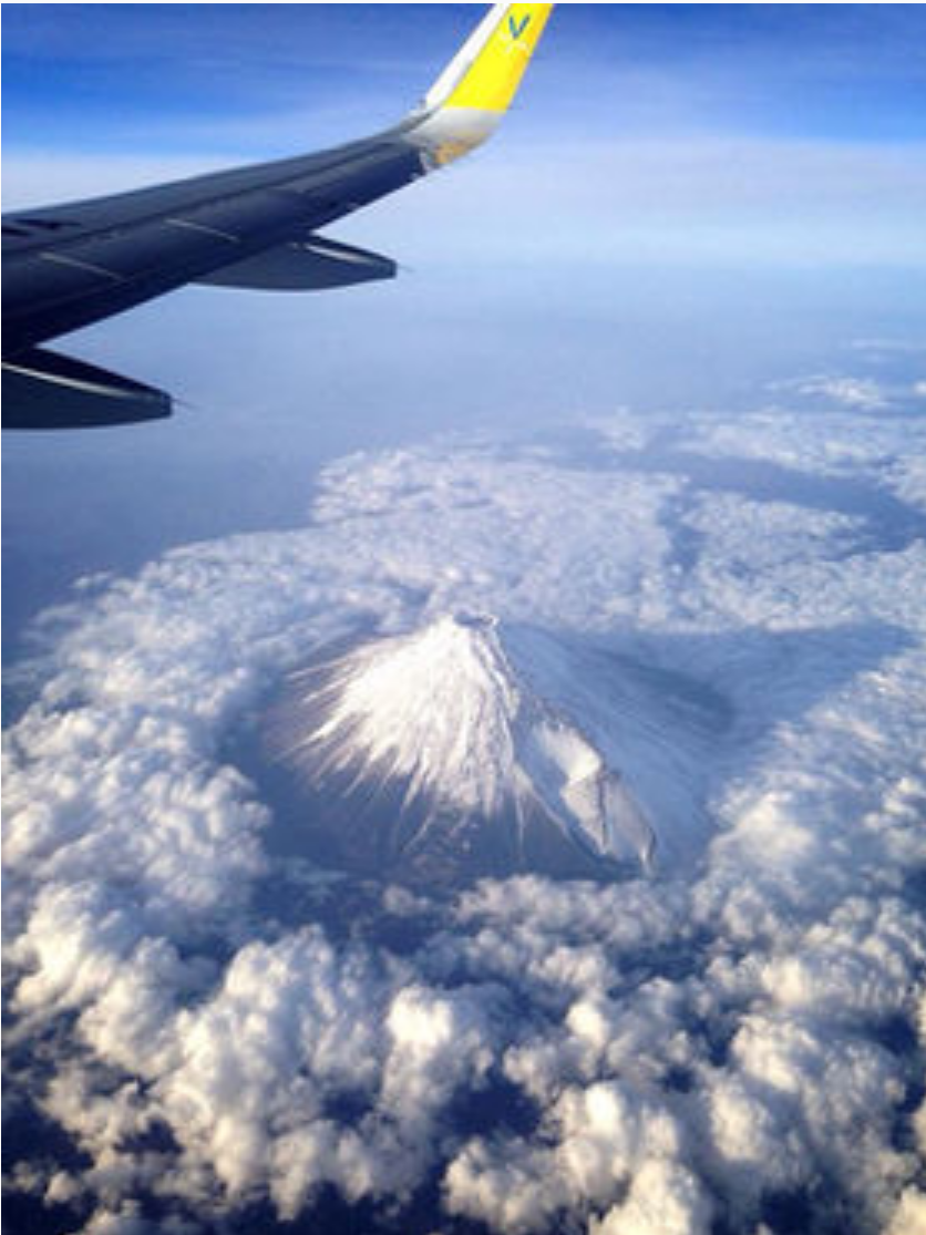 最近保存した画像載せてください!