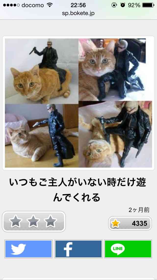 最近保存した画像載せてください!