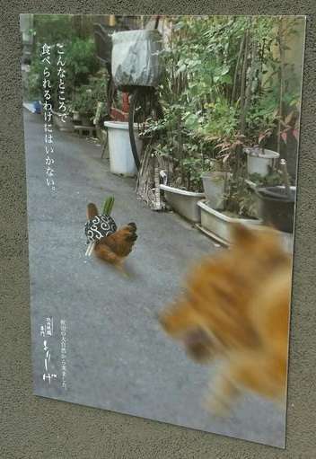 最近保存した画像載せてください!