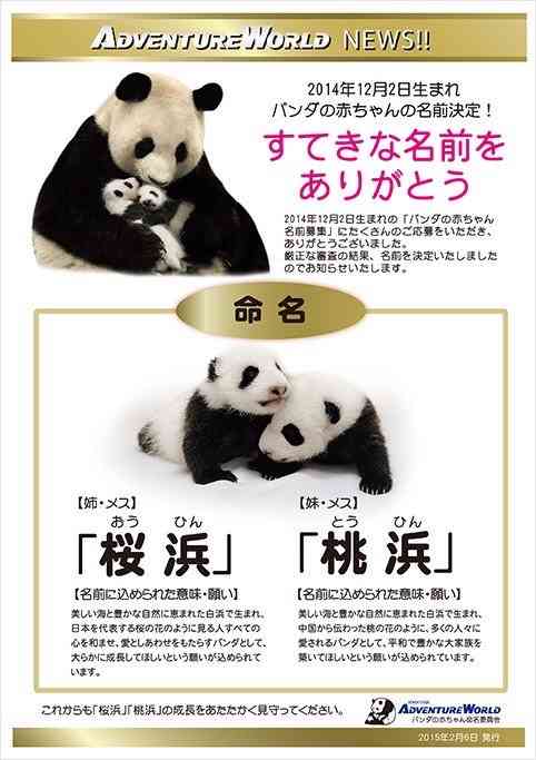最近保存した画像載せてください!