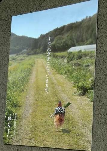 最近保存した画像載せてください!