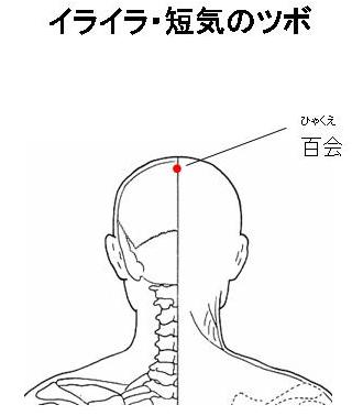 最近保存した画像載せてください!