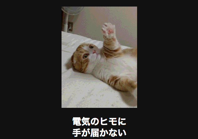 最近保存した画像載せてください!