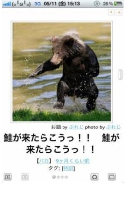 こんな時だからこそ心休まる画像を…