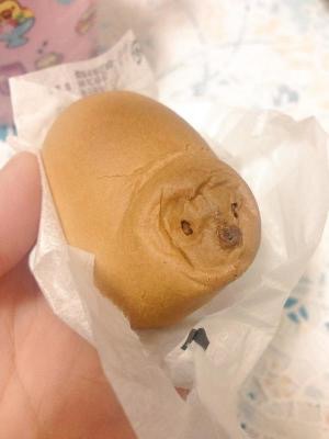 こんな時だからこそ心休まる画像を…