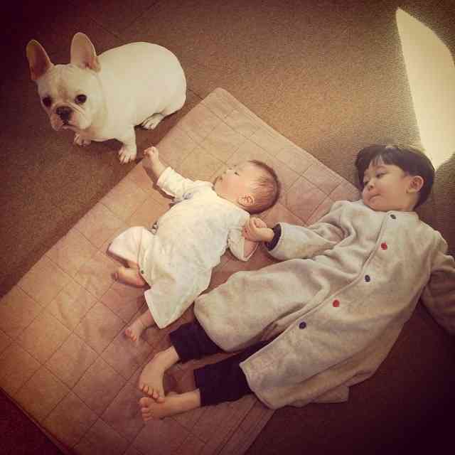 こんな時だからこそ心休まる画像を…