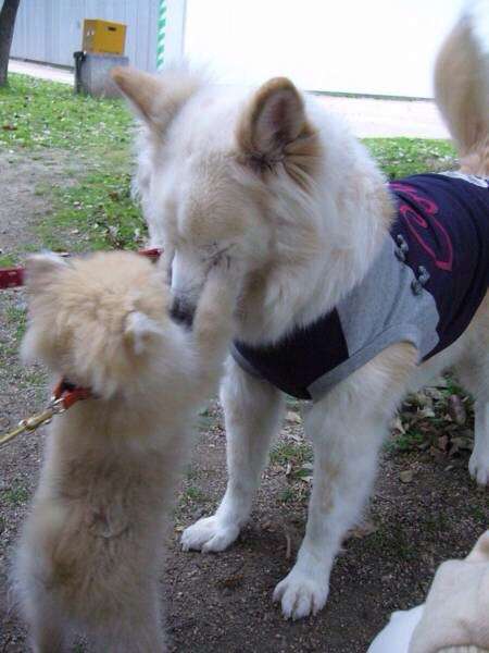 ( ̄▽ ̄)ニヤリとする画像ください