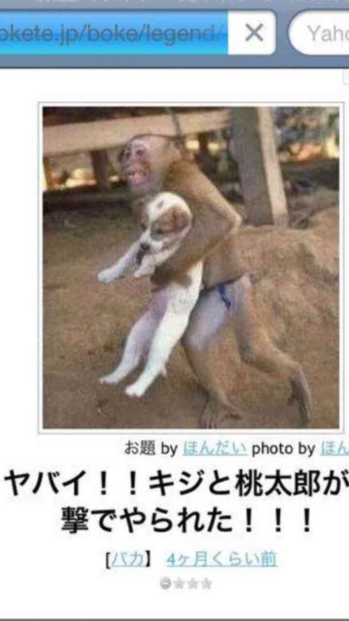 ( ̄▽ ̄)ニヤリとする画像ください