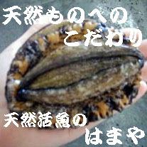 ( ̄▽ ̄)ニヤリとする画像ください