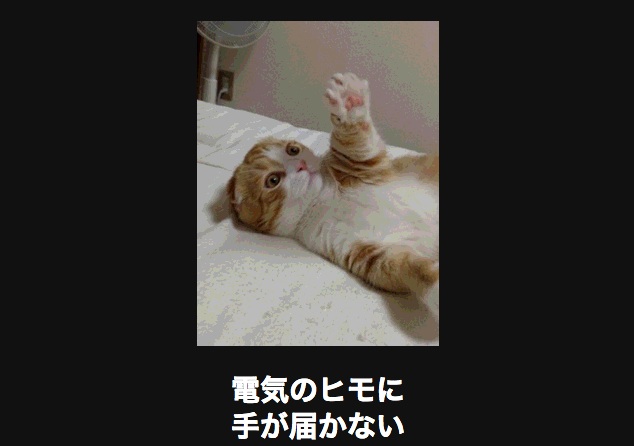 ( ̄▽ ̄)ニヤリとする画像ください