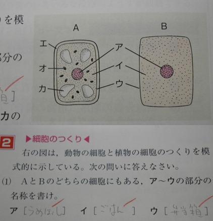 ( ̄▽ ̄)ニヤリとする画像ください
