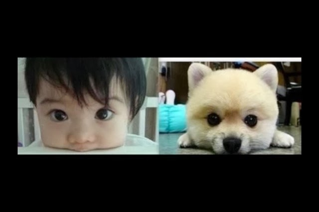 ( ̄▽ ̄)ニヤリとする画像ください