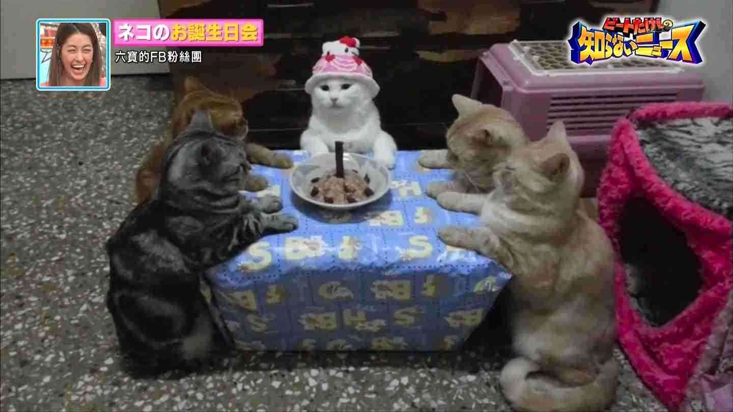 ( ̄▽ ̄)ニヤリとする画像ください