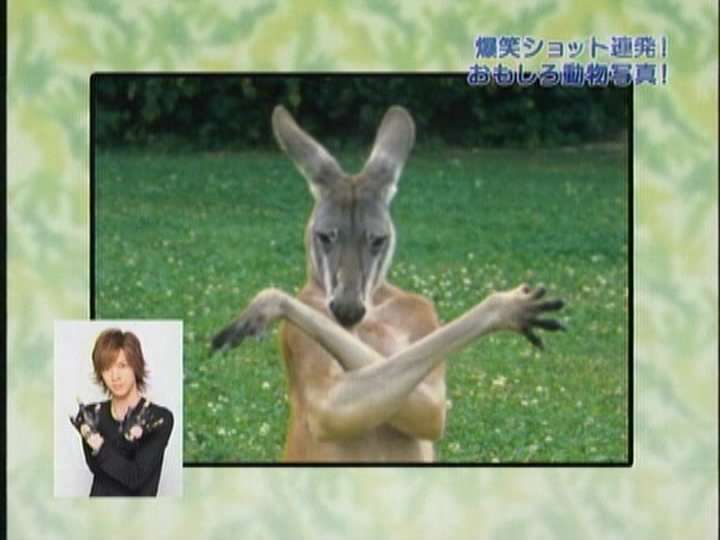 ( ̄▽ ̄)ニヤリとする画像ください