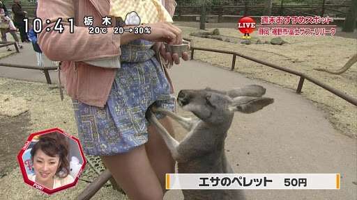 わざとでしょ？と思う画像