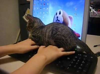 わざとでしょ？と思う画像