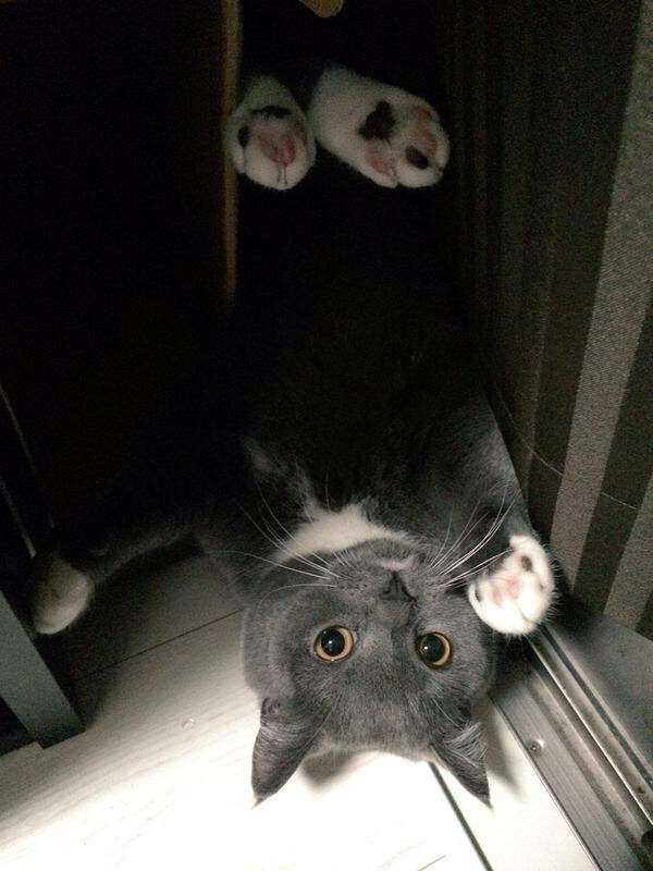 わざとでしょ？と思う画像