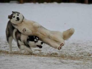 わざとでしょ？と思う画像