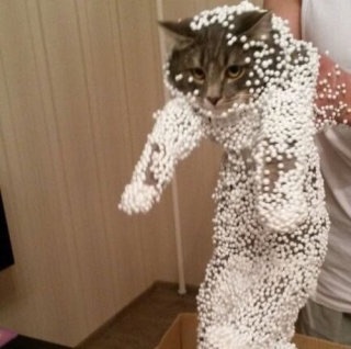 わざとでしょ？と思う画像