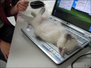 わざとでしょ？と思う画像