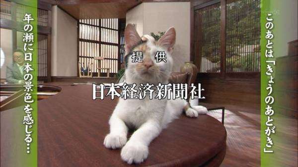 わざとでしょ？と思う画像