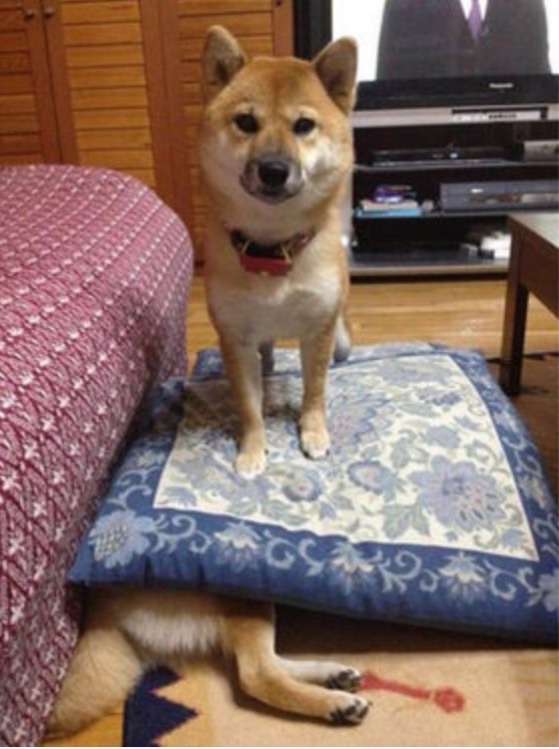 わざとでしょ？と思う画像