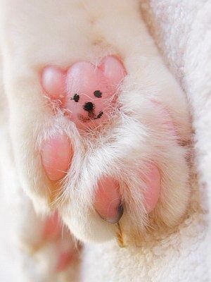 ちょっと元気が出る画像