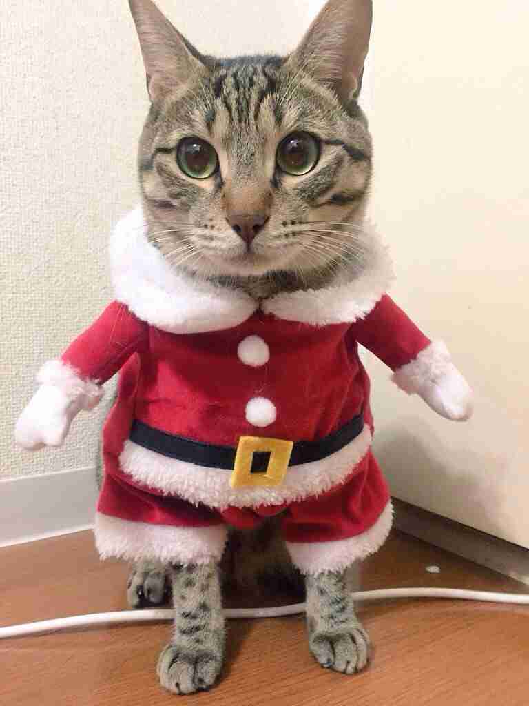 ちょっと元気が出る画像