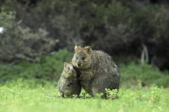 ちょっと元気が出る画像