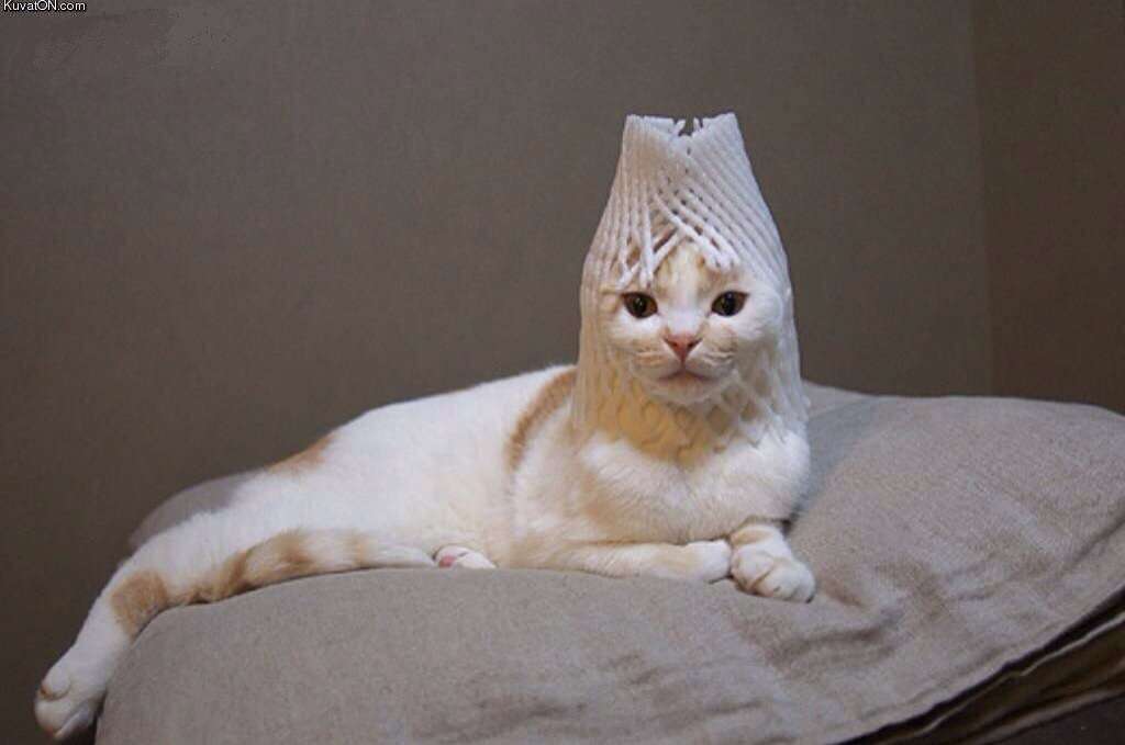 ちょっと元気が出る画像