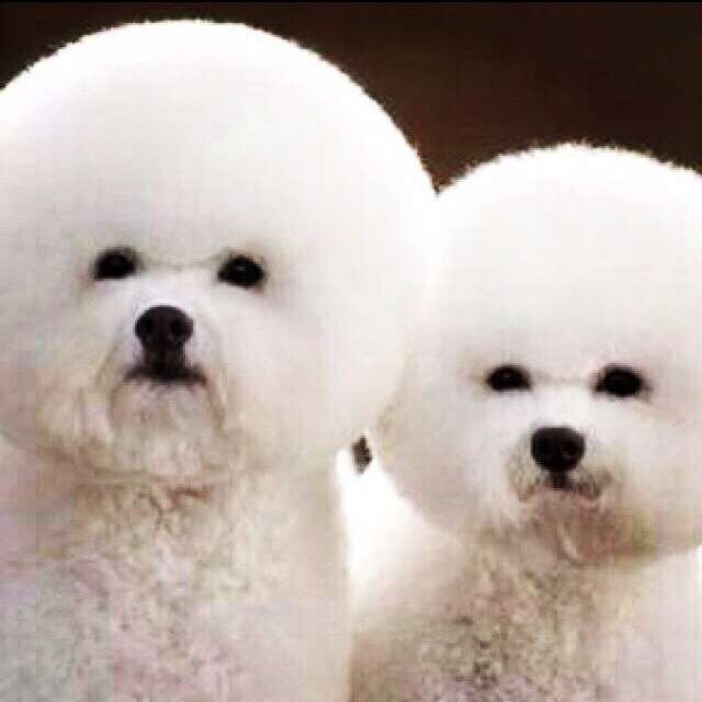 ちょっと元気が出る画像