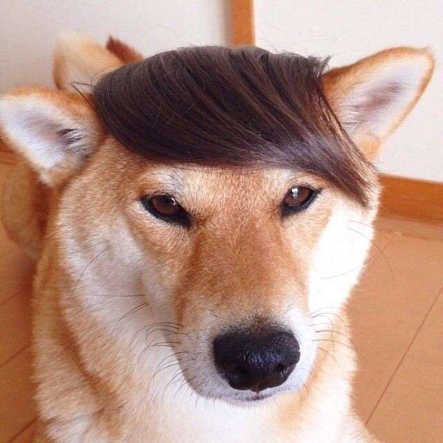 ちょっと元気が出る画像