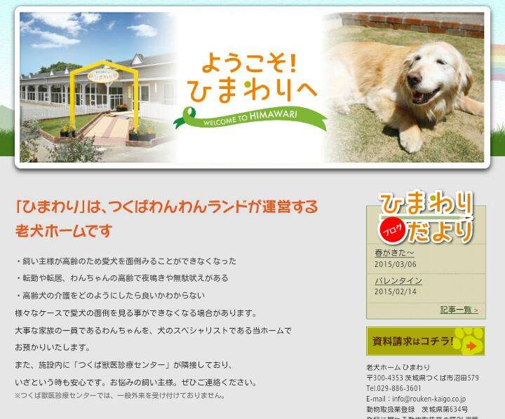 【ネコの家】“ひとりぼっち” になってもお守りします…… / 飼い主を亡くした高齢ネコ向け『老ネコホーム』が心強い！平均ネコ年齢は10～20才ニャ!!