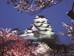 あなたの街の「桜の名所」、、、