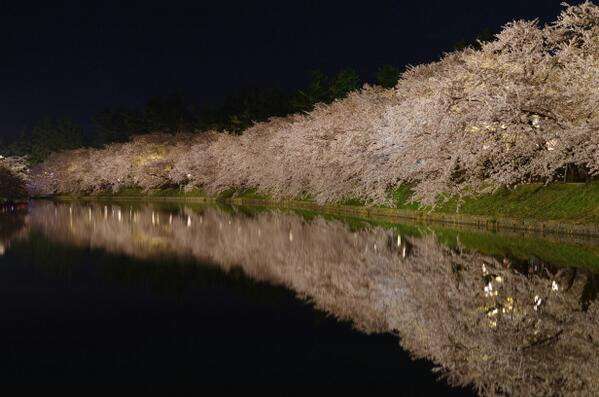 あなたの街の「桜の名所」、、、