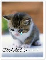 好きな食玩ありますか？