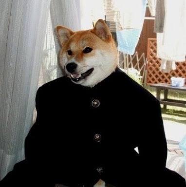 好きな画像に合わせてコメントするトピ