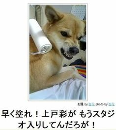 好きな画像に合わせてコメントするトピ