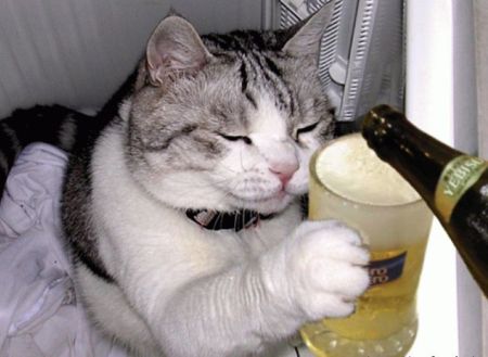 好きな画像に合わせてコメントするトピ
