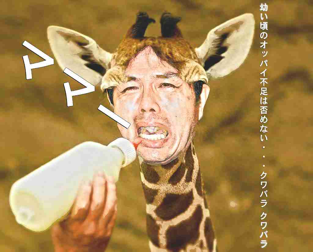 売れそう・売れて欲しいアイドル