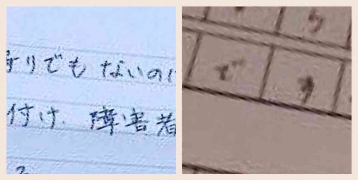 車いすマークに駐車し「誹謗中傷」された妊婦は自作自演だった!?　疑惑で炎上、違法行為も発覚！