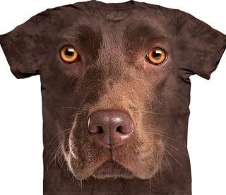 変なTシャツの画像トピ