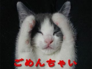 色んな「ごめん寝」画像で癒されるトピ