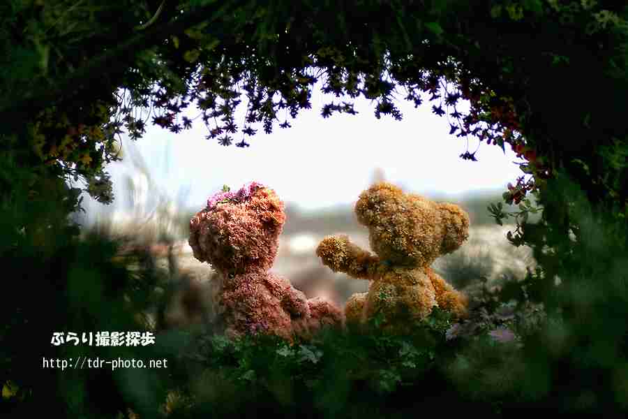 ガルちゃんで画像（サイト）を貼り付ける方法＆練習Part6