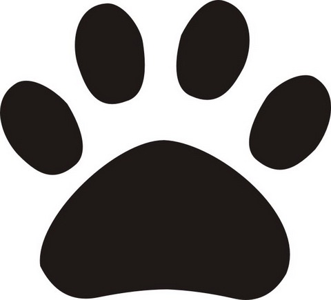 ガルちゃんで画像（サイト）を貼り付ける方法＆練習Part6