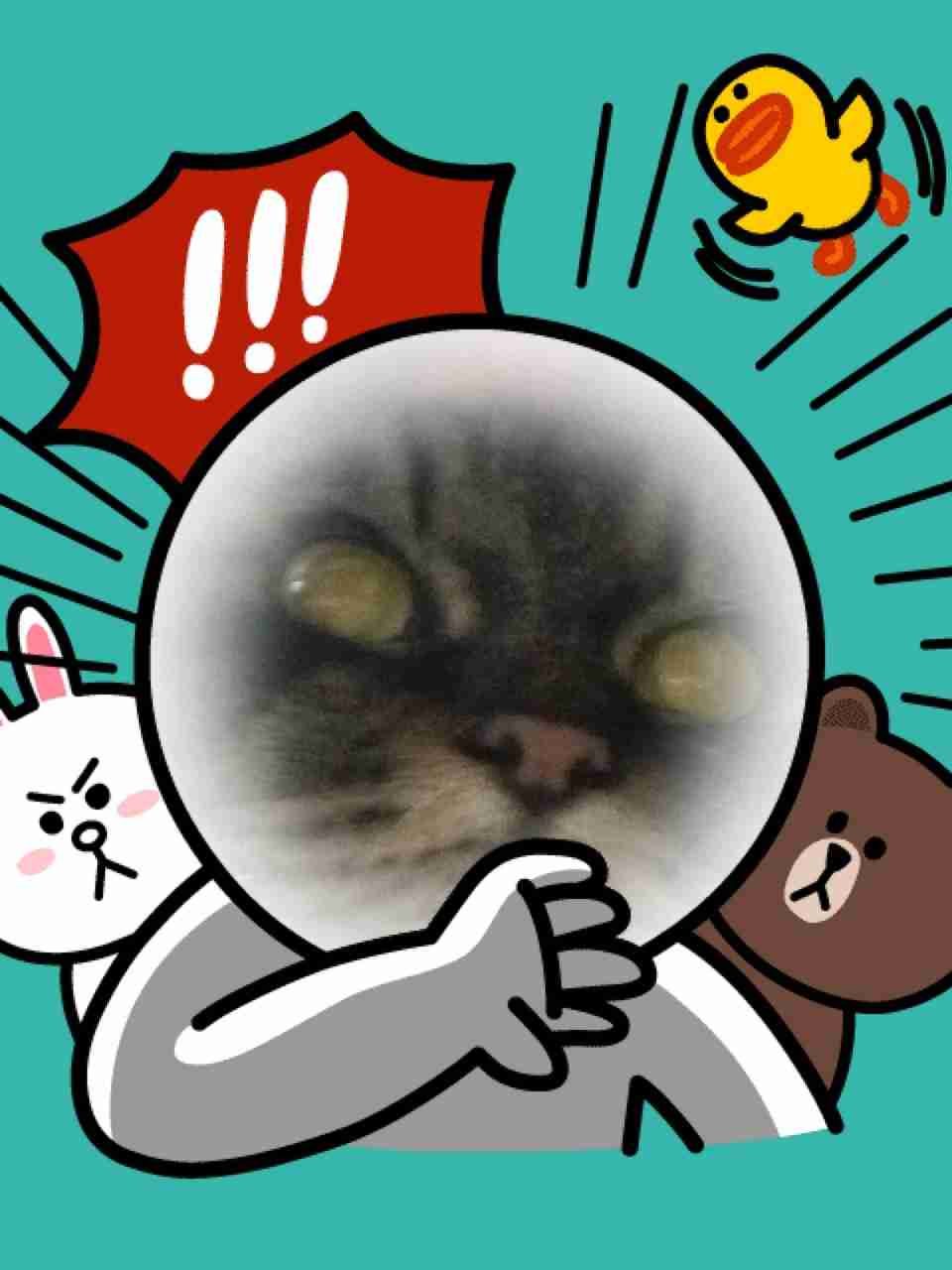 ガルちゃんで画像（サイト）を貼り付ける方法＆練習Part6