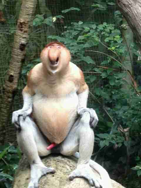 【川崎中1殺害】逮捕の少年２人「18歳少年が刺した」「トイレで服燃やした」…殺害関与は否定