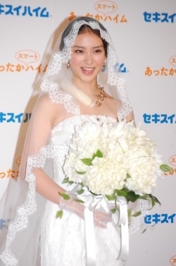 芸能人のウエディングドレス姿を貼っていこう