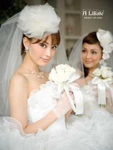 芸能人のウエディングドレス姿を貼っていこう