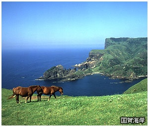 旅行におすすめの離島
